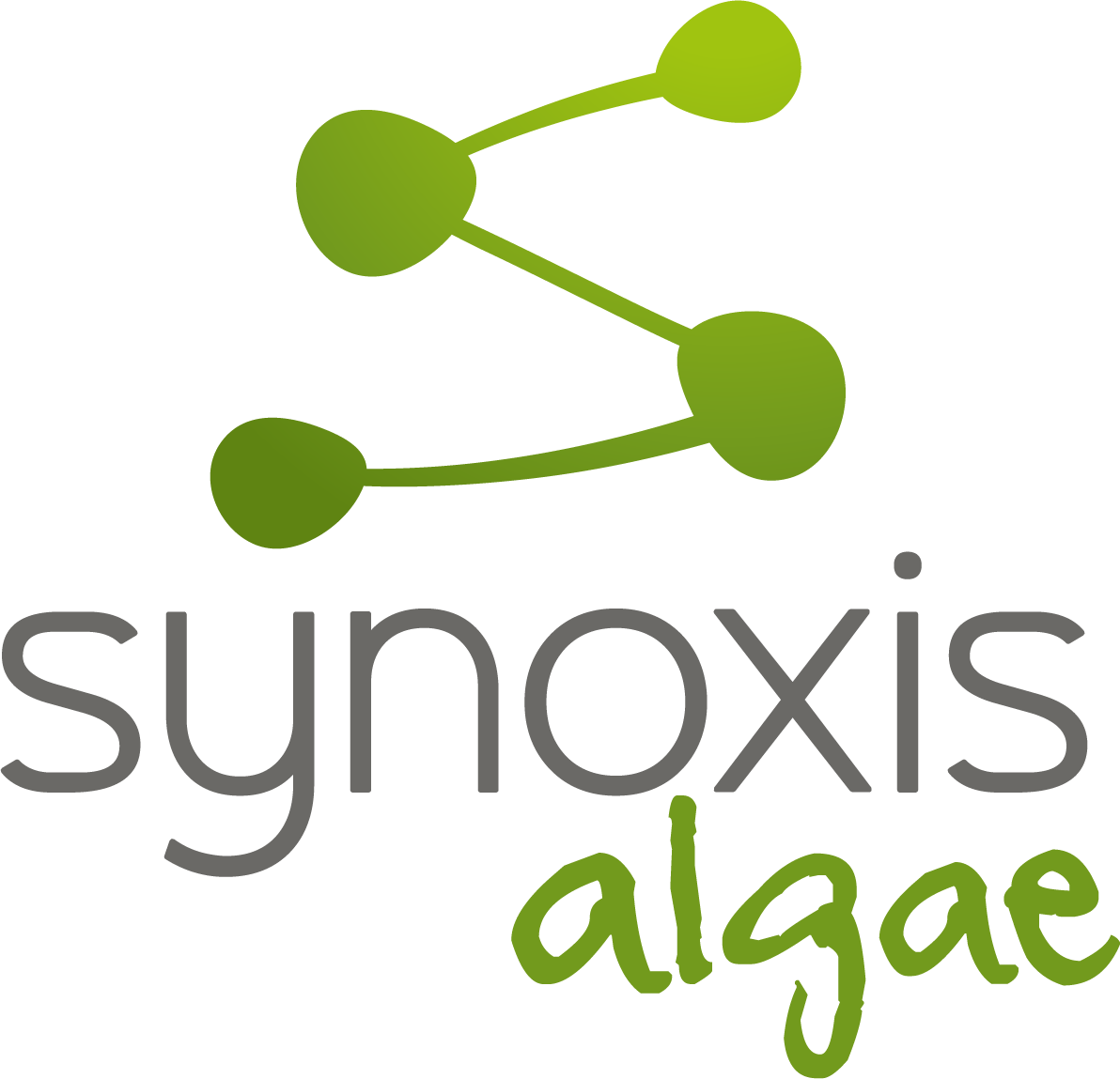 Synoxis Algae